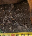 Volvo T450D 4WD scraper tractor