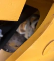 2016 John Deere 324K wheel loader
