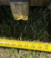 2017 Caterpillar 299D2XHP Skid Steer