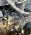 2021 Yanmar SV100-2A Excavator WHyd Thumb