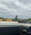 2011 Caterpillar M322D Wheeled Excavator