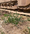 2007 John Deere 850J LT Dozer WMulti-Shank Ripper