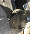 2013 Caterpillar TL1255C Telehandler