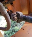 2016 Case 621F XR Wheel Loader