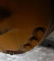 2006 John Deere 544J wheel loader