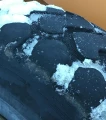 2010 Case 821E Wheel Loader