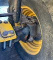 2017 Jcb 560-80AGS 4x4x4 Telehandler