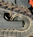 2019 Kubota SVL95-2S tracked skid steer loader