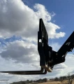 2015 Caterpillar TH255C Telehandler