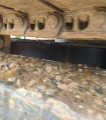 2014 Caterpillar 321D LCR excavator