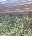 2015 John Deere W150 Swather