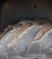 2018 Case 321F wheel loader