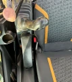 2020 Case CX80C excavator
