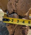 2013 Vermeer RTX1250 rock saw