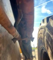 2016 Komatsu WA270-8 Wheel Loader WAttachments