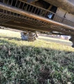 2013 Case IH 7230 2WD Combine