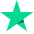 Trustpilot Star